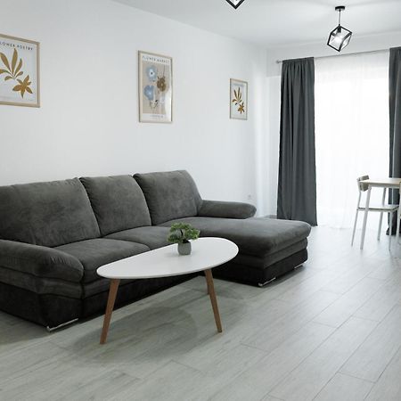 Exclusive Ultracentral Apartments And Studios #Enescu#Universitatii#Szucsáva Kültér fotó